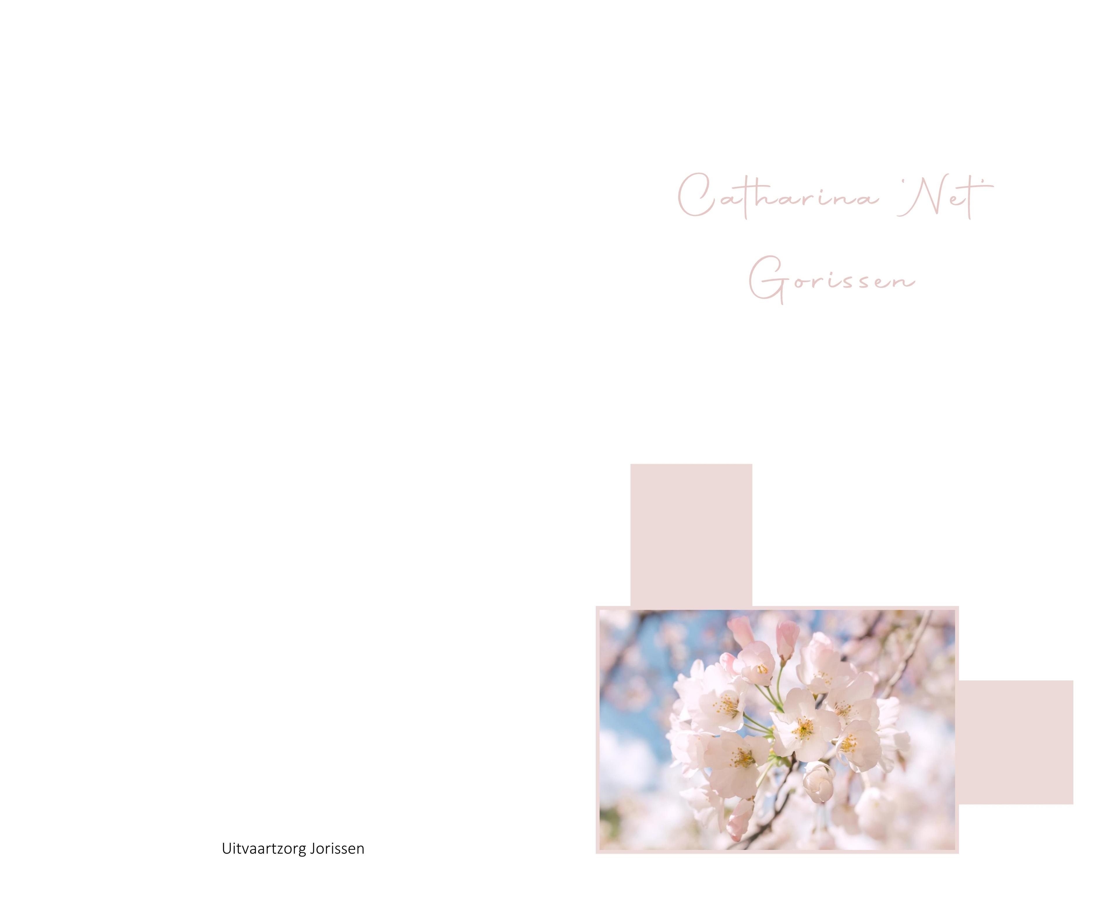 Letter Of Condolence