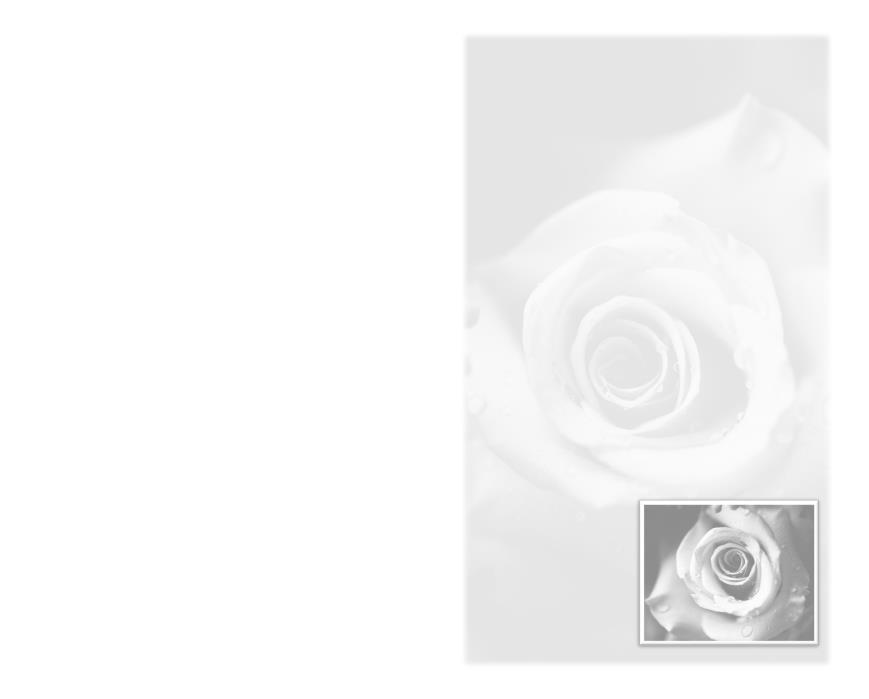 Letter Of Condolence