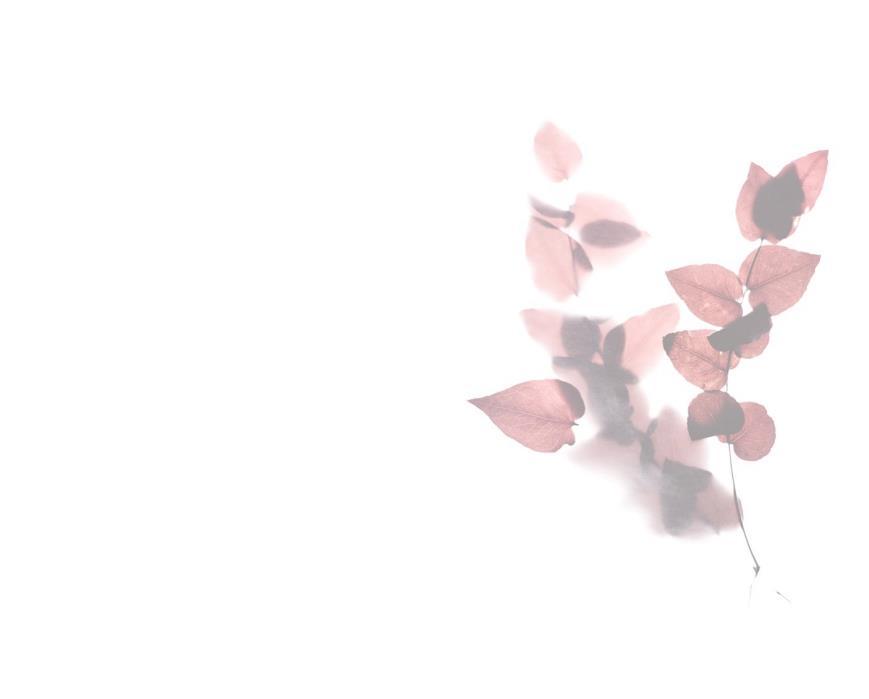 Letter Of Condolence